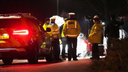 Nurse died after being hit by car in Crawley, inquest hears – BBC