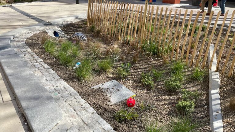 Mixed views on Fargate regeneration in Sheffield as work ends – BBC