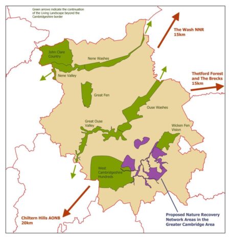 Wild in the City – the Cambridge Nature Network – GOV.UK blogs