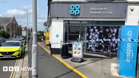Police hunt fake delivery driver after Plymouth Co-op robbery – BBC