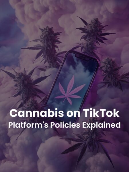 ‘It absolutely stunk of weed,’ TikToker stays in city hotel that’s cheapest in Wales – South Wales Argus