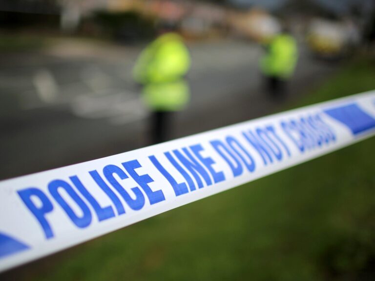 Woman dies in hospital following dog attack in Southend-on-Sea – BBC