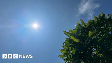 Heat health alert issued as Met Office and BBC predict Stoke-on-Trent scorcher – Stoke on Trent Live