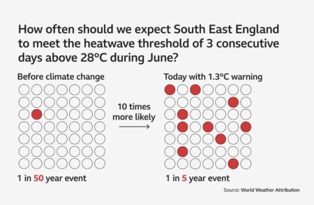 Warning for UK households with ice lollies in freezer during heatwave – Birmingham Live