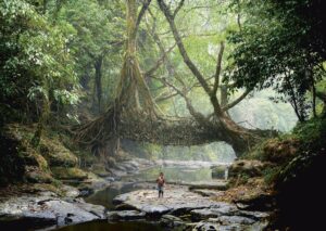 Scientists find evidence that overturns theories of the origin of water on Earth – University of Oxford