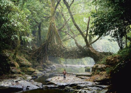 Scientists find evidence that overturns theories of the origin of water on Earth – University of Oxford