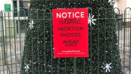 Proportion of conceptions ending in legal abortion, by local area – London Evening Standard