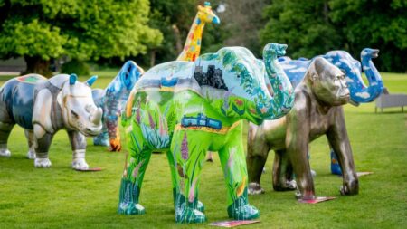 GoGoSafari – Visit Norwich