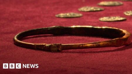 Missing Herefordshire Viking treasure coin unearthed in Croydon – BBC