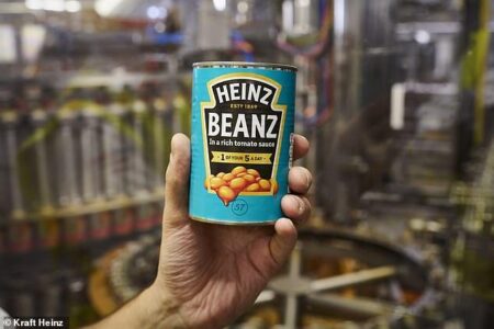 Secrets of the baked bean: HARVEY DORSET goes inside Wigan’s Heinz factory – This is Money