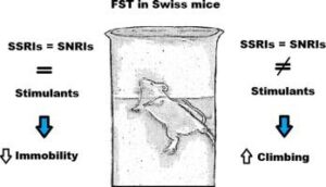 We Did It! The University of Bristol Drops the Forced Swim Test – PETA UK