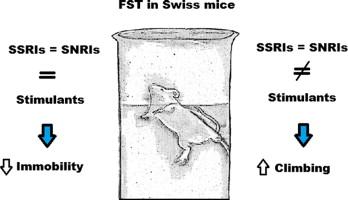 We Did It! The University of Bristol Drops the Forced Swim Test – PETA UK