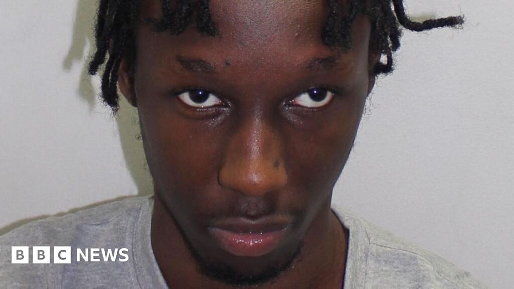 Teenager sentenced to life for south London murder of Elianne Andam – The Guardian