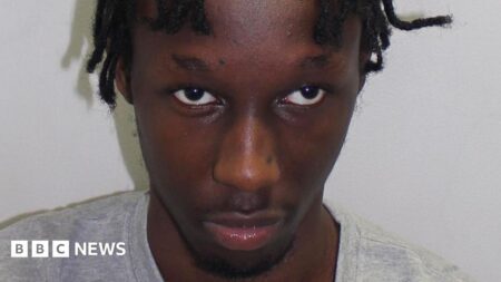 Teenager sentenced to life for south London murder of Elianne Andam – The Guardian
