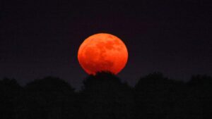 When to see the Buck Moon tonight as ‘Moon illusion’ lights up UK skies – Manchester Evening News