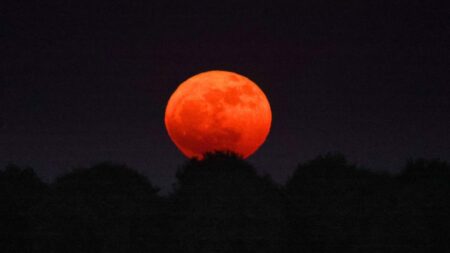 When to see the Buck Moon tonight as ‘Moon illusion’ lights up UK skies – Manchester Evening News