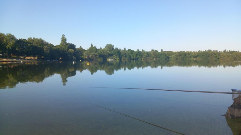Sutton Park lake tragedy live as city stunned by boy’s death – Birmingham Live