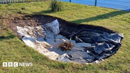 Vandalism ruins new community pond after just one use – Walsall Council