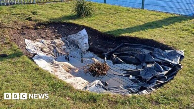 Vandalism ruins new community pond after just one use – Walsall Council