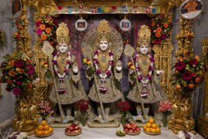 Mahant Swami Maharaj Janma Jayanti Celebrations, Crawley, UK – BAPS Swaminarayan Sanstha