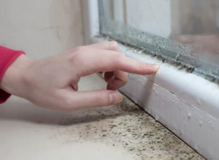Landlord councillor in mouldy rental home scandal SUSPENDED by Greens – EDP24