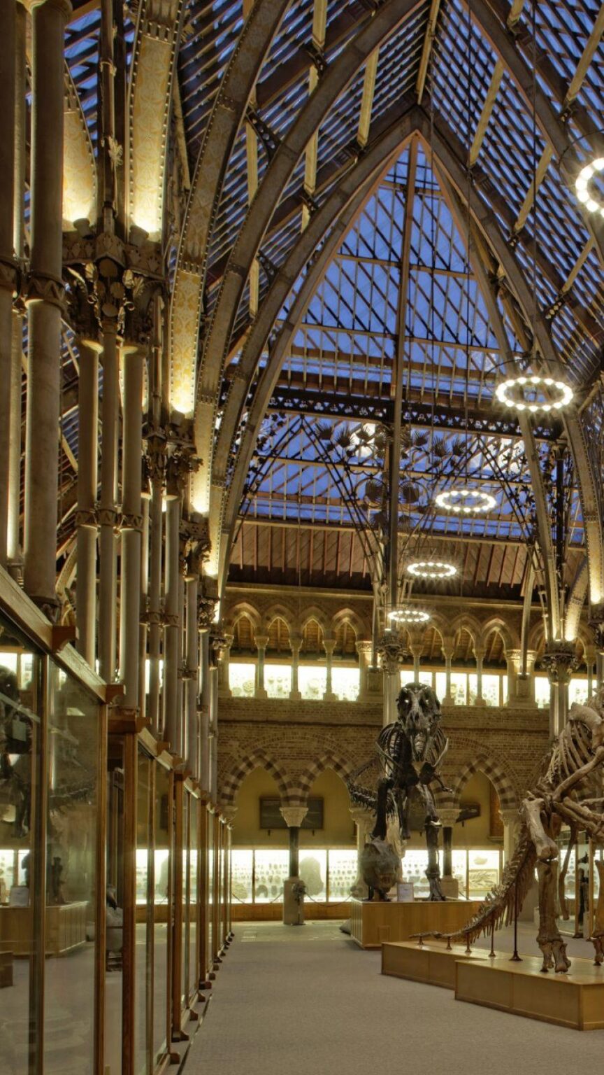 New Director of the University of Oxford Museum of Natural History – University of Oxford