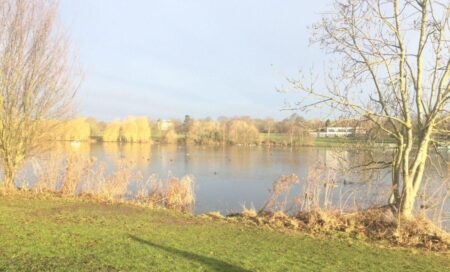 Results from Bexley Parkrun as more than 450 runners take part – News Shopper
