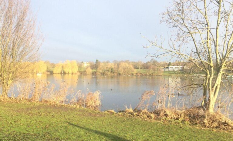 Results from Bexley Parkrun as more than 450 runners take part – News Shopper
