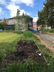 Column: Lorna Middleton: What the Government’s New National Food Strategy Could Mean for Sheffield – thestar.co.uk