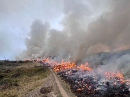 Emergency services battle fire near city centre – Wales Online