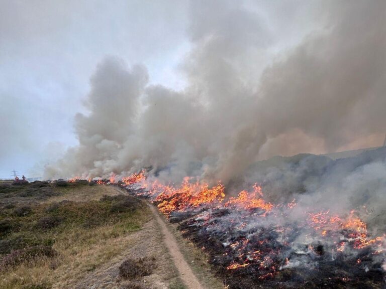 Emergency services battle fire near city centre – Wales Online