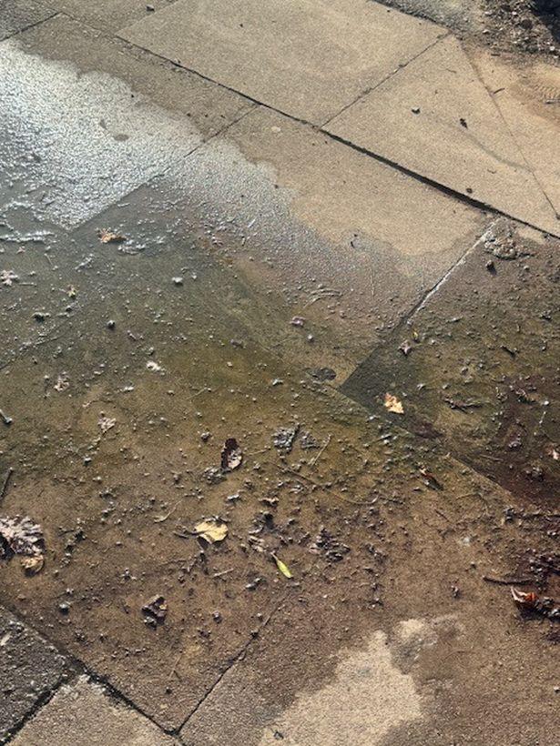 Dad slams council and Severn Trent in four-year fight to fully fix water leak – Stoke on Trent Live