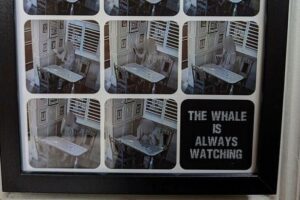 Police hunt for intruder who tried to break into Wirral pub during early hours – Wirral Globe