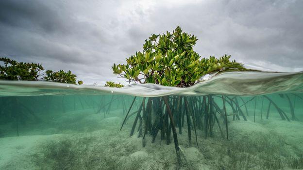 Communicating the impact of rising seas – University of Cambridge