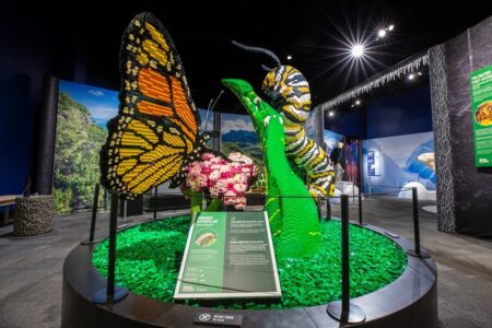 Five million pieces of Lego to be shown in Milton Keynes museum – BBC