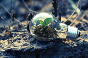 Majority of UK organisations remain committed to sustainability and ESG, according to a new study – University of Nottingham