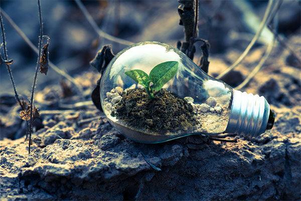Majority of UK organisations remain committed to sustainability and ESG, according to a new study – University of Nottingham