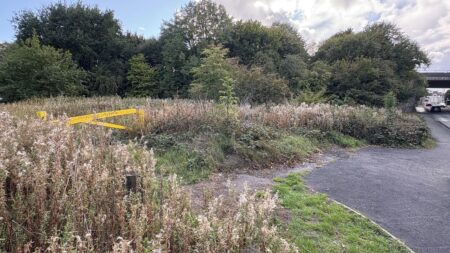 Victim speaks out after horror Oldbury sex attack – dudleynews.co.uk