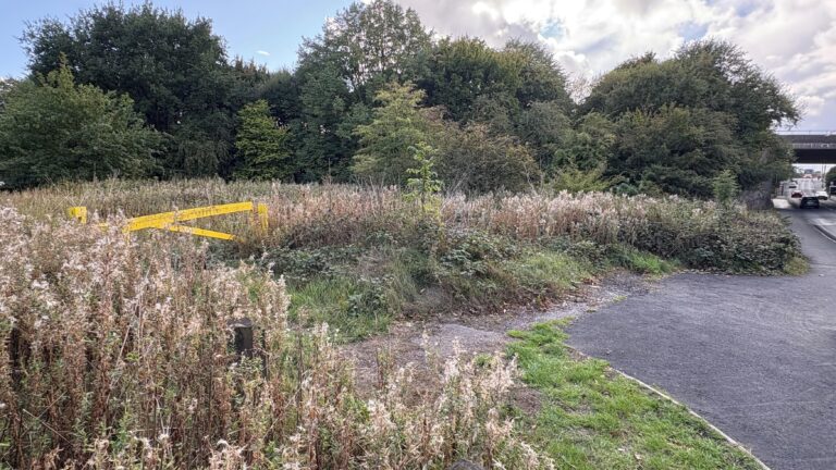 Victim speaks out after horror Oldbury sex attack – dudleynews.co.uk