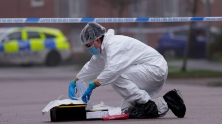 Man admits murdering two women in Christmas Day stabbings in Milton Keynes – Sky News