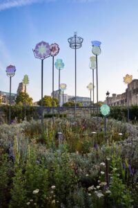 The south London area once dubbed the ‘lavender capital of the world’ – Sutton Guardian