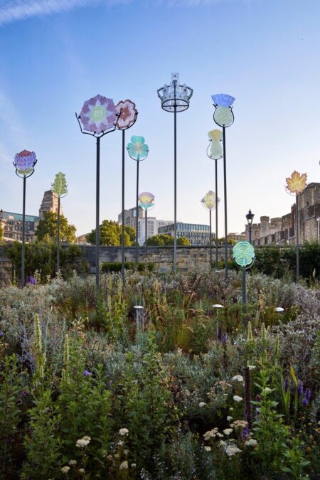 The south London area once dubbed the ‘lavender capital of the world’ – Sutton Guardian