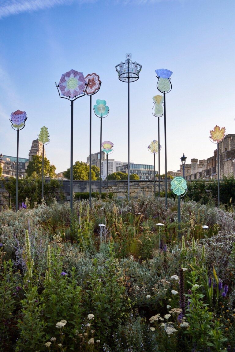 The south London area once dubbed the ‘lavender capital of the world’ – Sutton Guardian