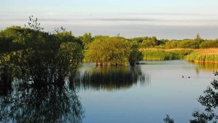 Wigan Flashes Nature Reserve (part of the Flashes of Wigan and Leigh NNR) – Wigan Council