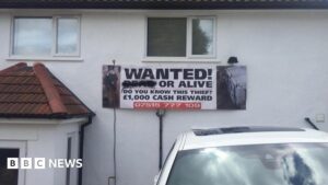 Crackdown needed on ‘disgraceful’ bus driver assaults – with some of worst in Croydon – croydonguardian.co.uk