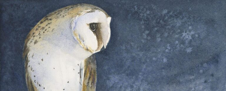 Impressive Charlton brush aside Blackburn to continue strong start – Slough Observer