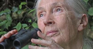 David Attenborough hails Jane Goodall as a ‘tireless advocate’ for chimpanzees – Swindon Advertiser