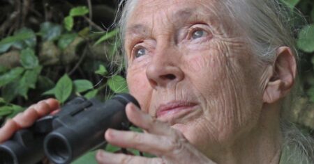 David Attenborough hails Jane Goodall as a ‘tireless advocate’ for chimpanzees – Swindon Advertiser