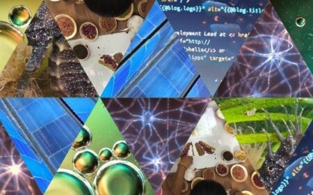 Eight Swansea University researchers selected for prestigious Welsh Crucible programme – Swansea University