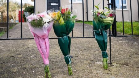 Woman, 19, dies after ‘XL bully’ attack in Bristol flat – The Guardian